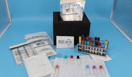cold chain transport
