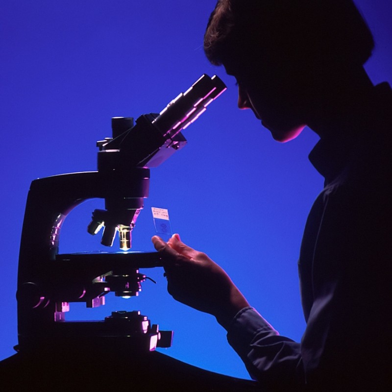 What Questions Should You Ask Before Choosing a Lab Packaging Supplier?