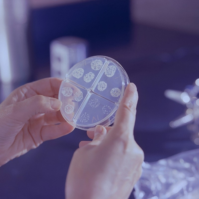 Is Safety Paramount? Navigating the Complexities of Biological Sample Transportation